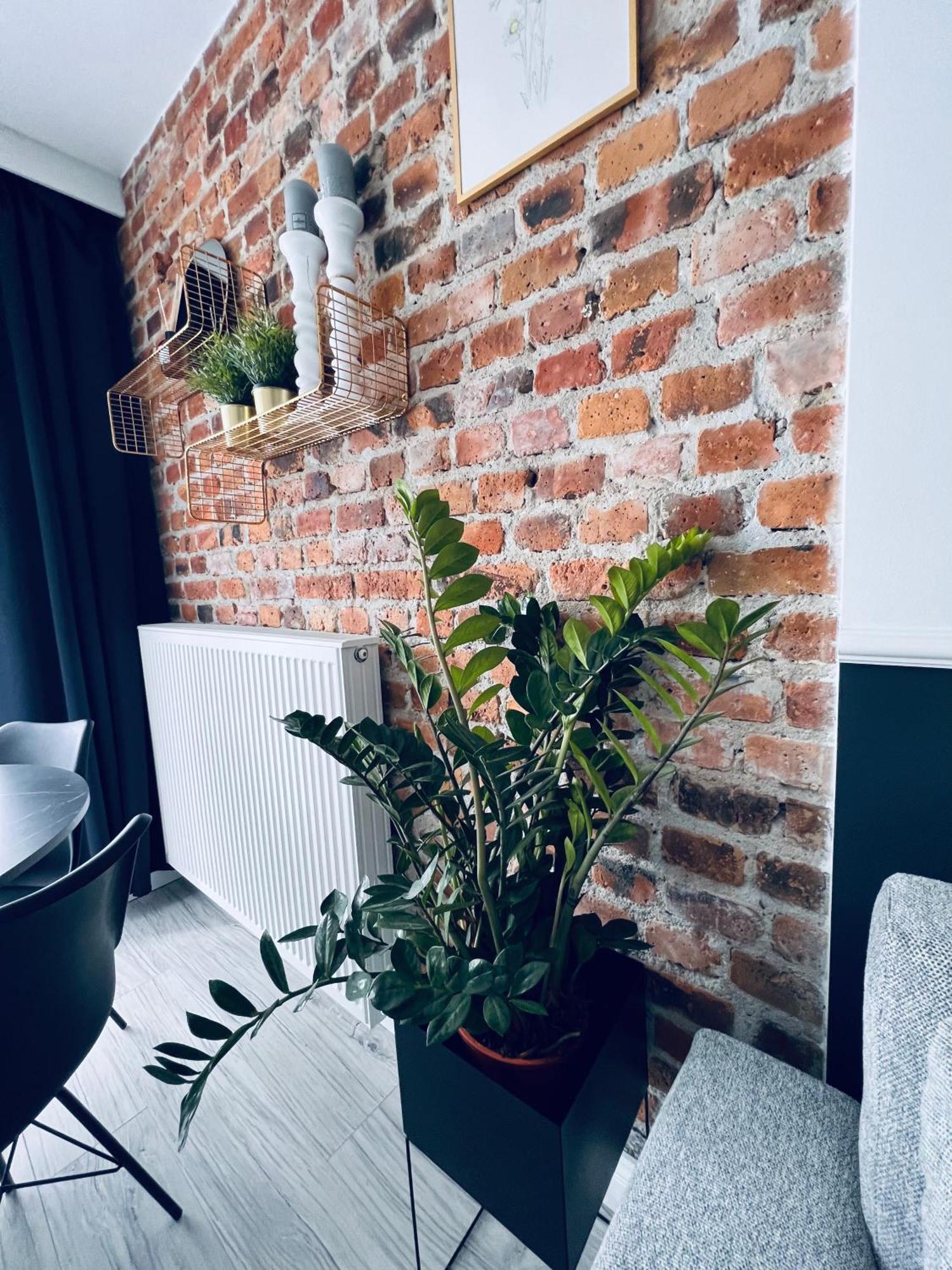 Apartamenty Zary Żary Exterior foto